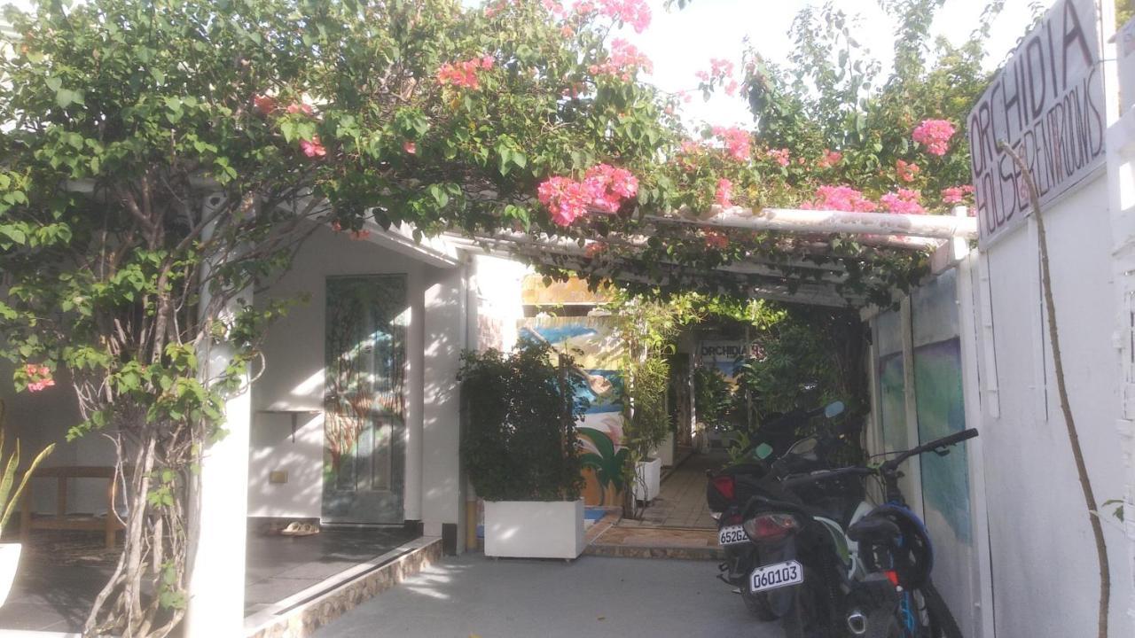 Gardenia House Rent Rooms سانتا في المظهر الخارجي الصورة